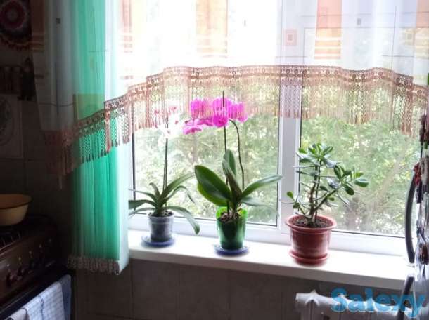 Астана,3-х комнатная квартира-продам, Патанина, фотография 6