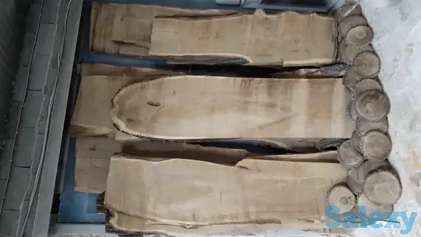 Слеб карагач., фотография 7