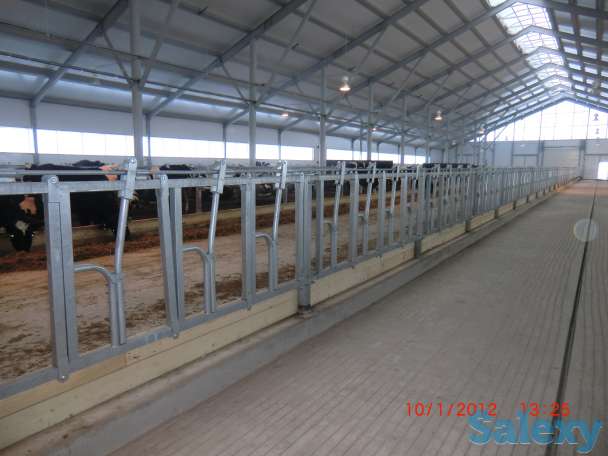 Стойловое оборудование для беспривязного содержания КРС, фотография 2