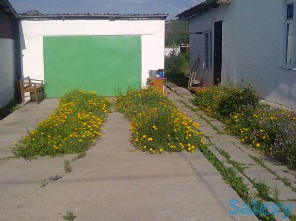 Новая Бухтарма, фотография 10