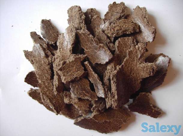 подсолнечник куплю жмых куплю, фотография 2