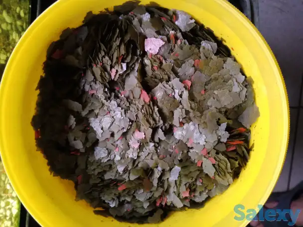 корм для аквариумных рыбок, фотография 13