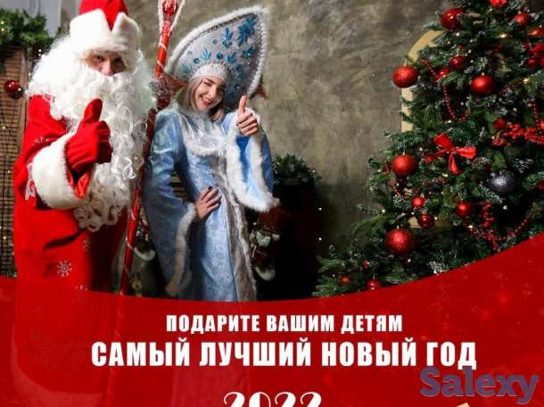 Дед мороз и снегурочка на дом, фотография 5