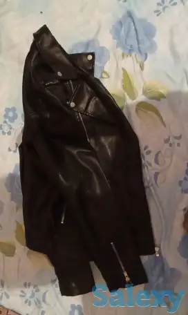 Кожинка косуха, фотография 3