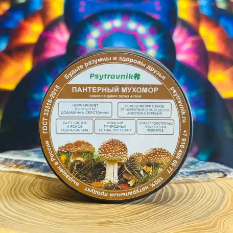 Пантерный мухомор  молотый  50гр., фотография 1