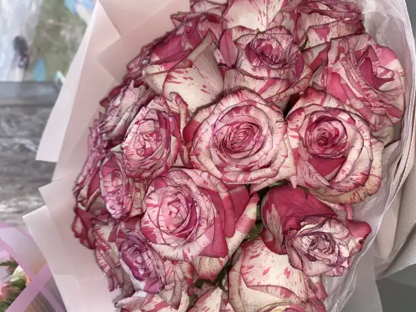 Продам цветы по цене одного, фотография 1