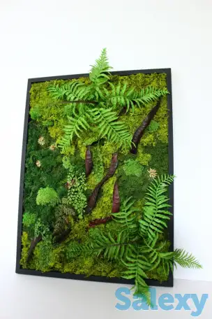 Картины из стабилизированного мха, фотография 5