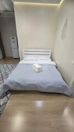 Уютная однокомнатная квартира в ЖК Alpamys, Улы Дала 31, фотография 6