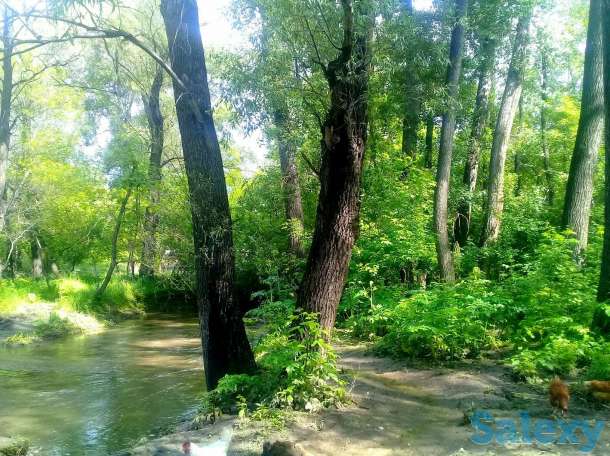 Продам дом в п. Глубокое, ул.Степная 120, фотография 9