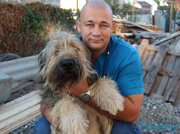 Консультация ветеринарного врача из Астрахани, фотография 1