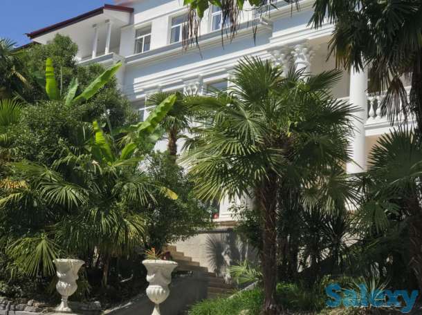 Продаю в Сочи уютную гостиницу, фотография 9