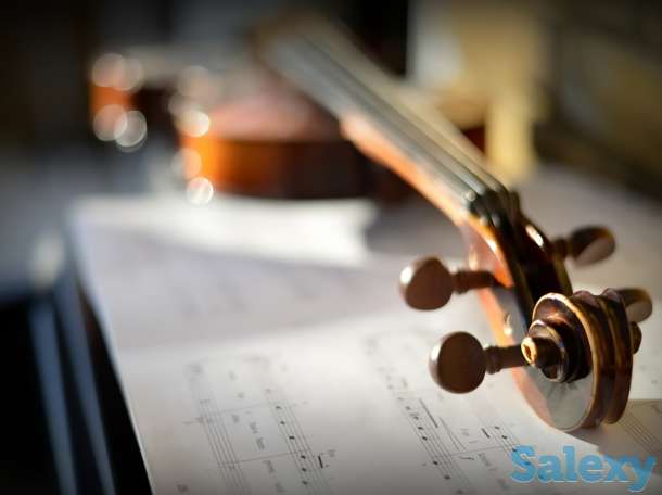 Педагог по скрипке, фотография 1