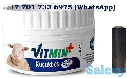 Надёжная защита здоровья быков, коров и овец, фотография 6