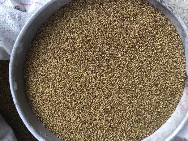 Продаю Семена Люцерны Меркенский район, фотография 5