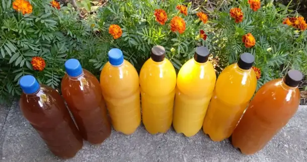 Мед пчелиный, натуральный, 2025 года., фотография 1