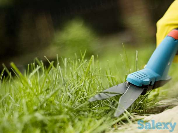 Газон озеленение, фотография 1