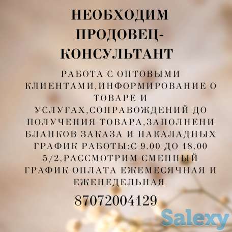 Идет Набор Продавец-Консультант, фотография 1