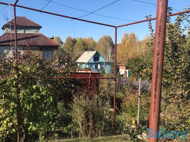 продам дачу на берегу р.Иртыш 44 км, фотография 10