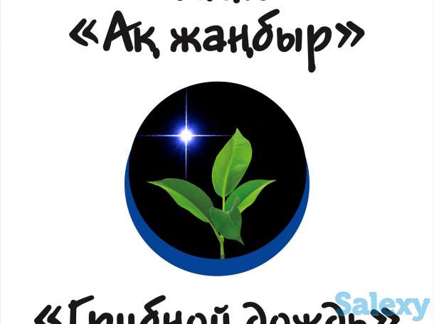 звуковая реклама на остановках Нур султан, фотография 2