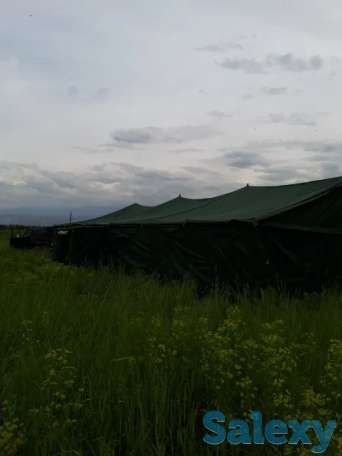 Палатки ОПТОМ! 40 местная, фотография 3