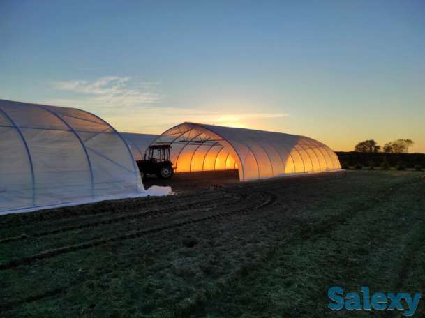 Профессиональные теплицы oriente ts, oriente rus, atlantic, фотография 2