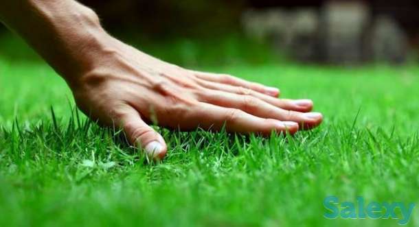 Крестьянское хозяйство сдам в аренду, фотография 1