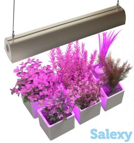 Светодиодные светильники, фотография 1