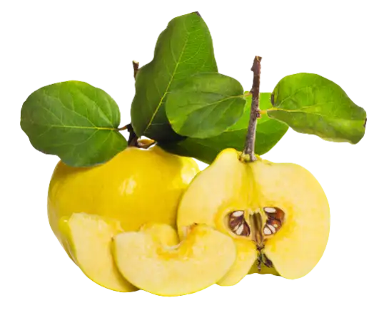 Японская красавица, фотография 1