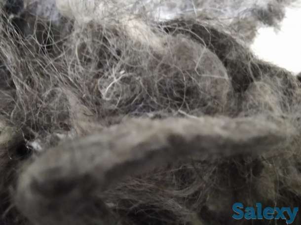 Продажа шерсть овечья, фотография 3