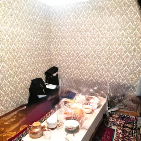 дом, Ержанова, фотография 10