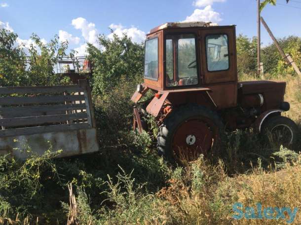 Трактор Т-25 с одноосным прицепом, фотография 3