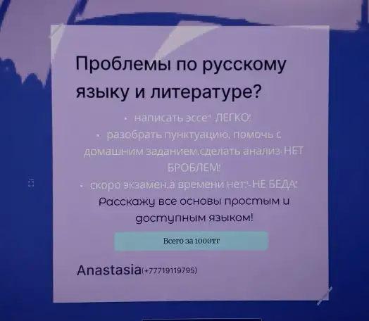 ТВОЙ репетитор по русскому языку и литературе, фотография 2