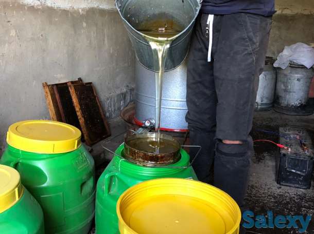 Натуральный, качественный мёд, фотография 1