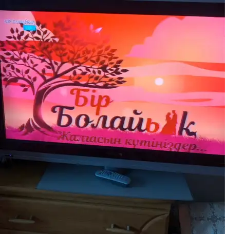 Продам телевизор Philips и видеоплеер Philips,   БУ, в хорошем рабочем состоянии., фотография 1