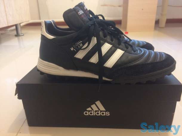 Сороконожки, фотография 3