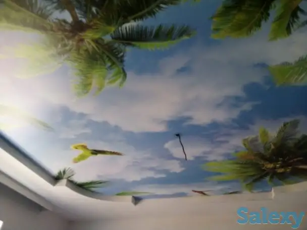 Натяжные потолки, фотография 1