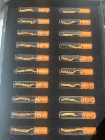 Кордицепс Синенсис 10гр, фотография 5