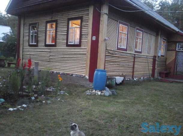 зимний дом в красивейшем месте новгородской области, фотография 2