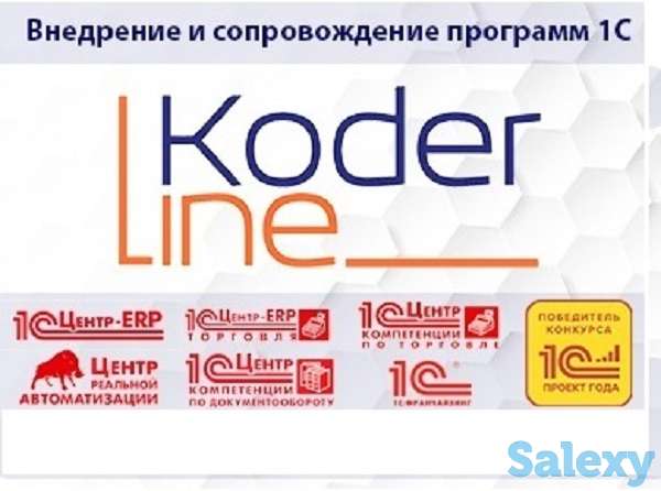 Вебинар «1C Drive мультиязычная ERP система. Расширяем горизонты», фотография 1