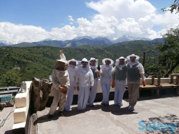 Агротур «Медовый» для жителей и гостей города Алматы!, фотография 3