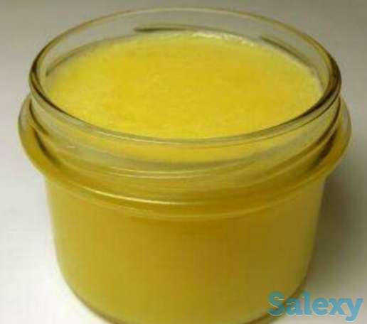 Продаётся мясо конина из Тараза, фотография 3