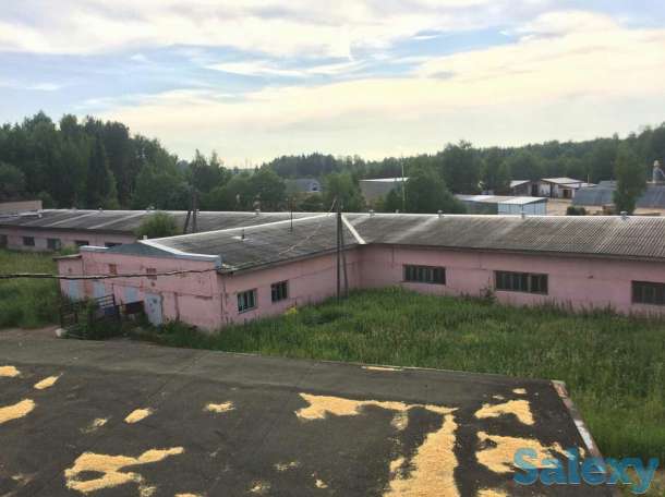 базу продам, Кировсккая обл,Юрьянский р-н,с Загарье, фотография 5