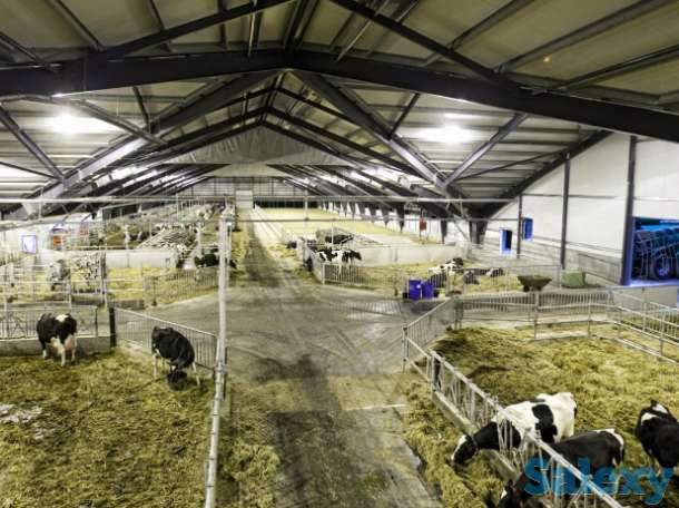 Официальная работа в Германии и Европе., фотография 3