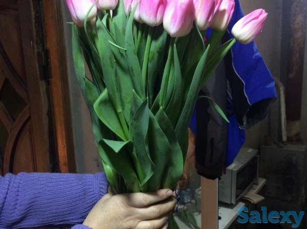 Тюльпаны оптом к 8 марта, фотография 4