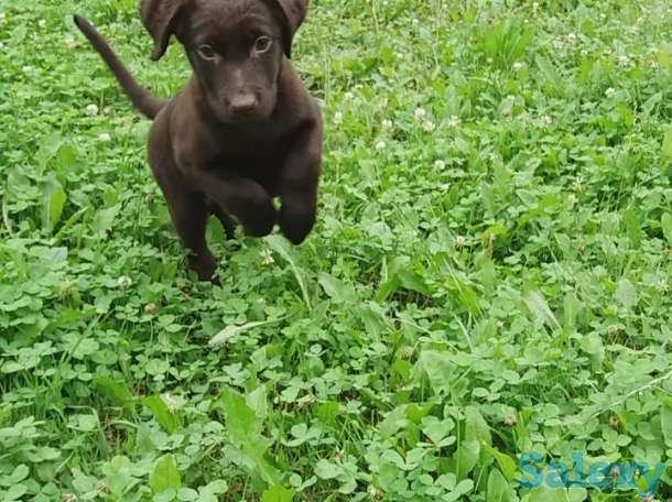 предлагаются, фотография 5