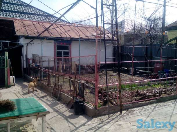 продам дом, постышева10, фотография 8