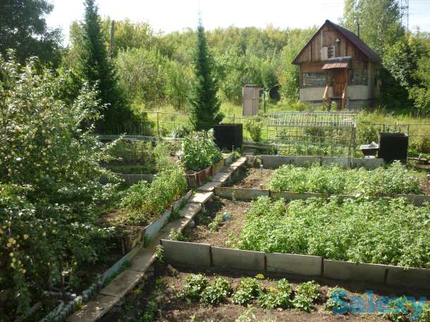 Продам дачу, общество Ермак,43 км,дом 43004, фотография 10