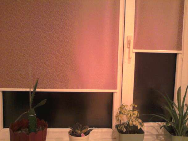 Жалюзи ,Акция!, фотография 3