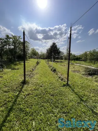 Продам большой дом с двумя входами отдельно и 24 сотки земли, фотография 8