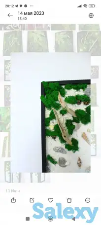 Картины из стабилизированного мха, фотография 3